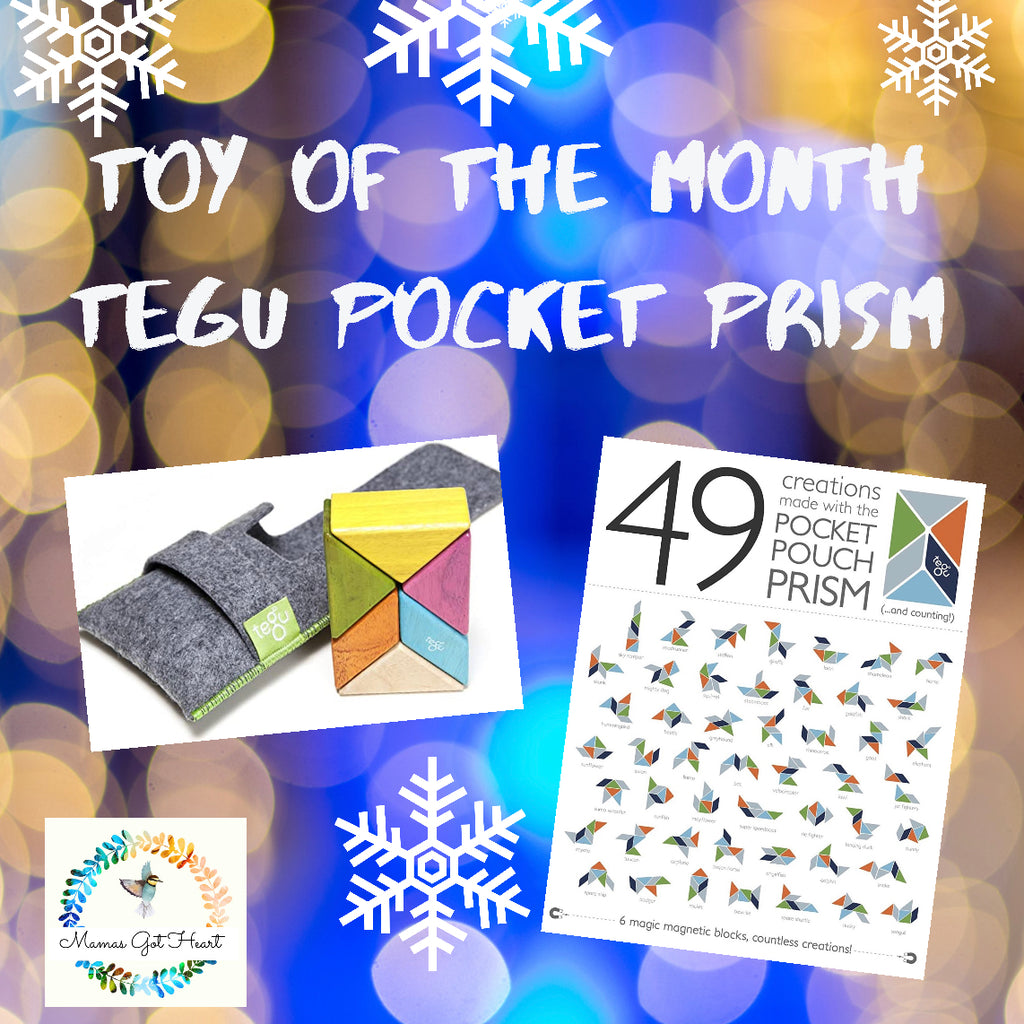 Toy of the Month- Tegu Pocket Prism