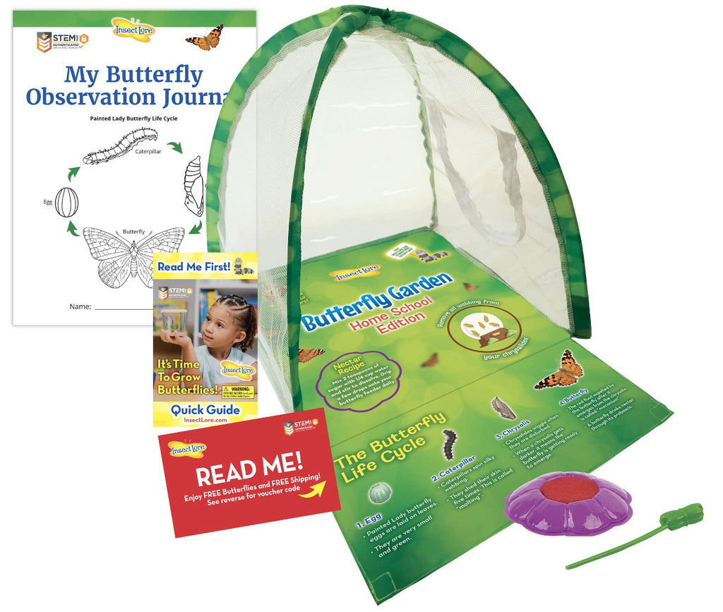 Insect Lore Butterfly Grow Kit (Homeschool Edition)